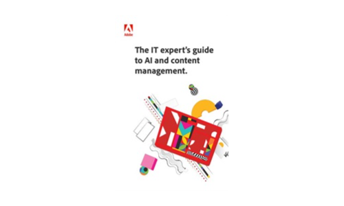 De gids van de IT -expert voor AI en content management.